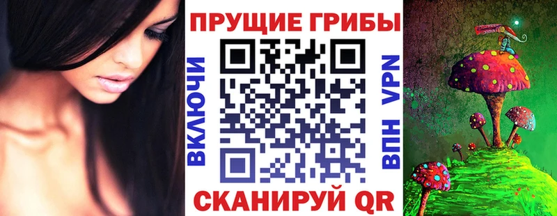 продажа наркотиков  Кремёнки  Галлюциногенные грибы GOLDEN TEACHER 